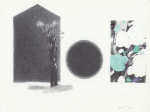 ماه و بیشه 23