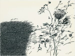 ماه و بیشه 1