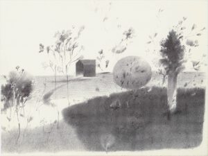 ماه و بیشه 14