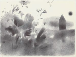 ماه و بیشه 14