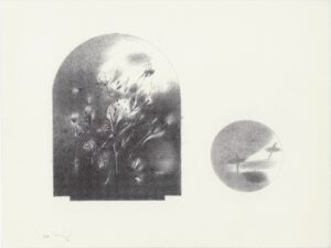 ماه و بیشه 20