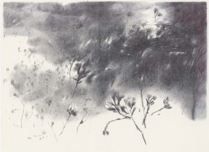 ماه و بیشه 22