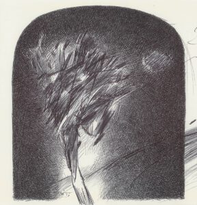 ماه و بیشه 3