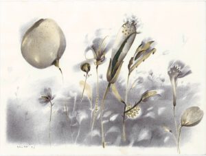 ماه و بیشه 6