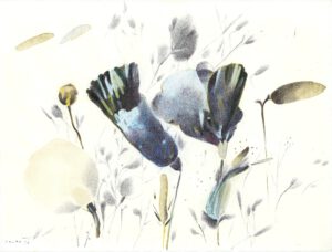 ماه و بیشه 2