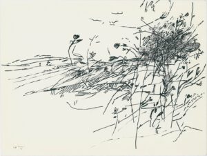 ماه و بیشه 5