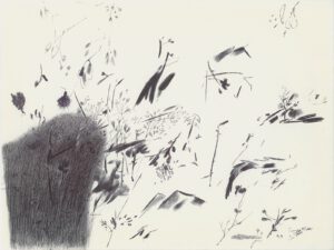 ماه و بیشه 7