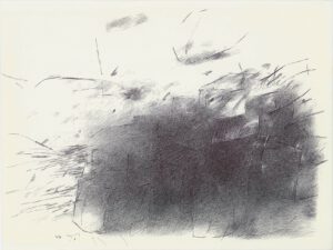 ماه و بیشه 8