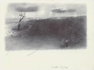 ماه و بیشه 9